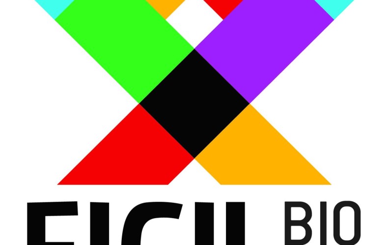 “Un ojo en la pared” seleccionado en las asesorías FICIL BIO BIO